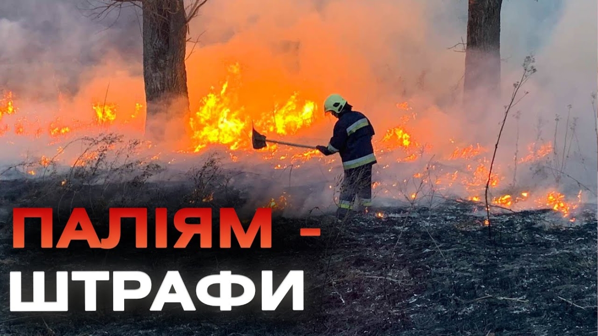 Embedded thumbnail for Вінничанам, які спалюватимуть сміття та гілля, виписуватимуть штрафи