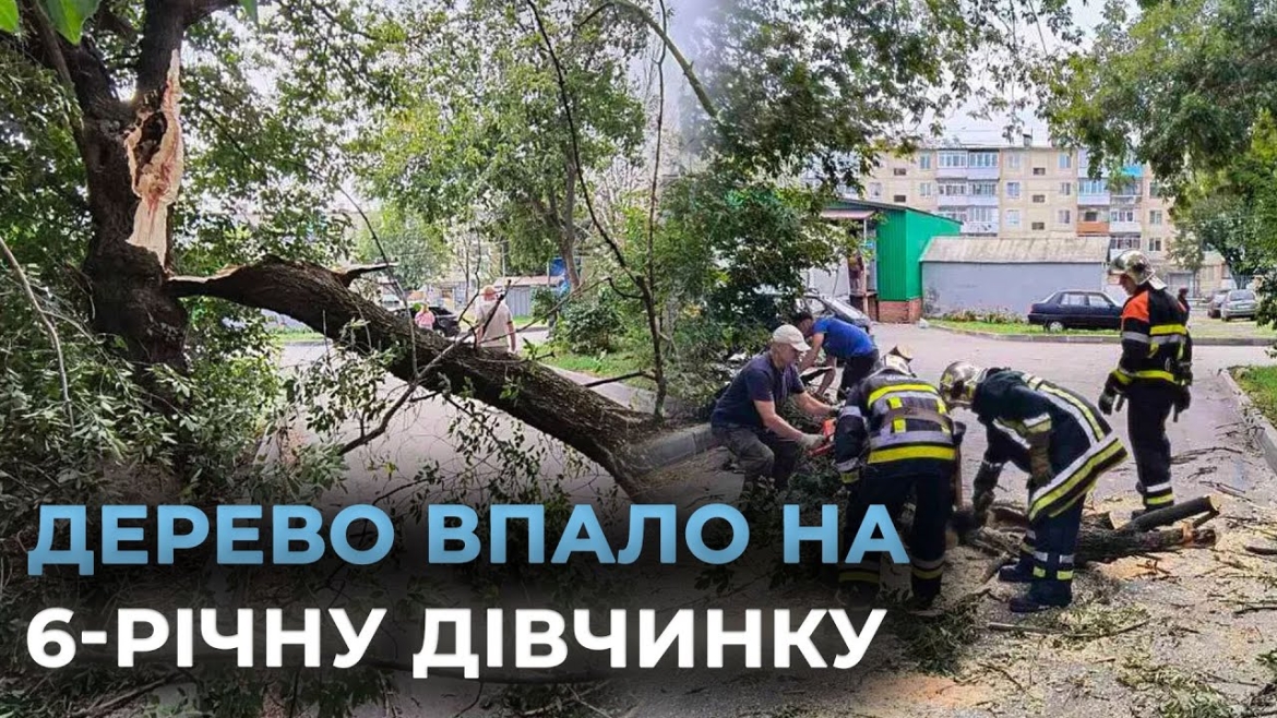 Embedded thumbnail for У Вінниці зламана гілка придавила шестирічну дівчинку