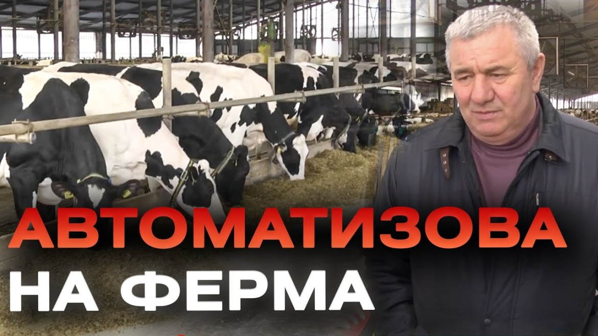 Embedded thumbnail for Сучасна ферма, на якій майже кожен процес автоматизований, працює на Вінниччині