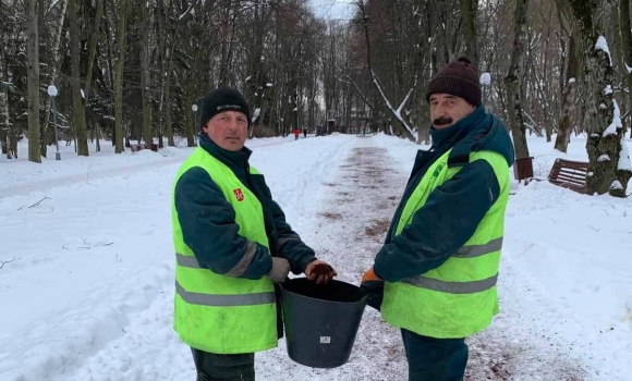 Алеї Центрального парку Леонтовича у Вінниці посипатимуть кавовою гущею