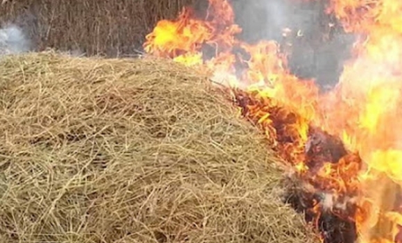 На Вінниччині через дитячі пустощі з вогнем згоріло 2 тонни сіна