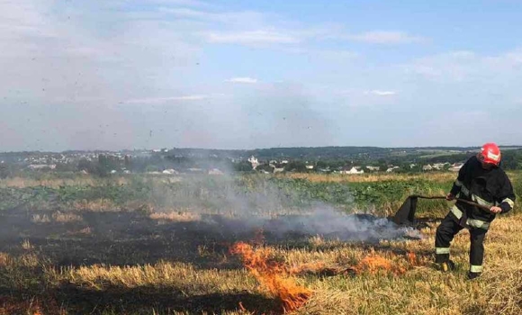 На Вінниччині через необережність з вогнем виникли пожежі в екосистемах