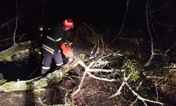 На Вінниччині повалені дерева перекрили автошляхи: викликали рятувальників