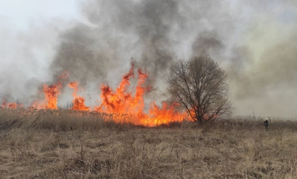 На Вінниччині рятувальники за добу 14 разів гасили пожежі в екосистемах