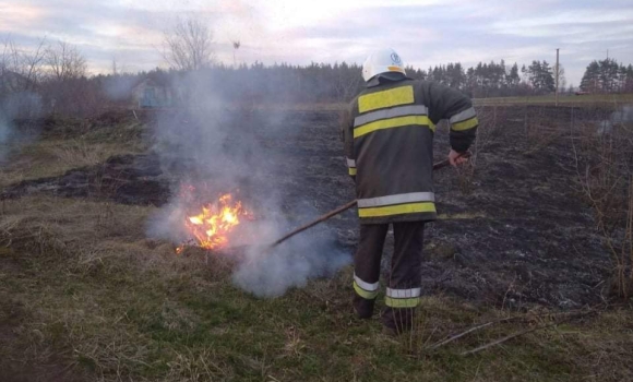 На Вінниччині за одну добу вогонь знищив 15 гектарів сухої рослинності