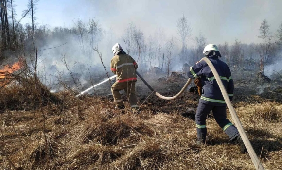 За минулу добу на Вінниччині ліквідовано 49 пожеж в екосистемах