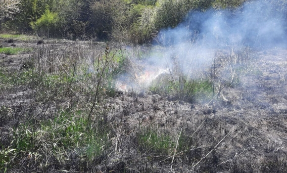 На Вінниччині за добу вигорів гектар сухої трави