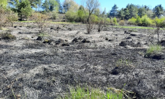 6 пожеж за добу: на Вінниччині майже щодня горять екосистеми