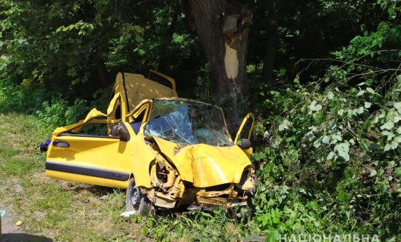 Неподалік Никифорівців водій Renault Kangoo протаранив дерево: четверо людей у реанімації