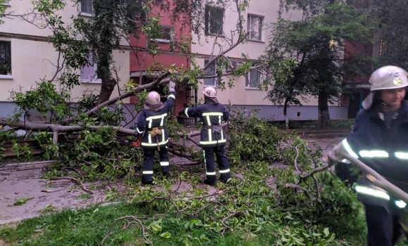 В селі Флорино від пориву вітру впало дерево, зачепивши припаркований "Мерседес"