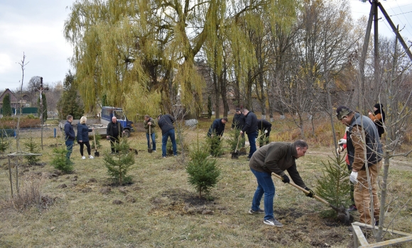 У Вінницькому районі висадили ялинки біля Меморіалу слави