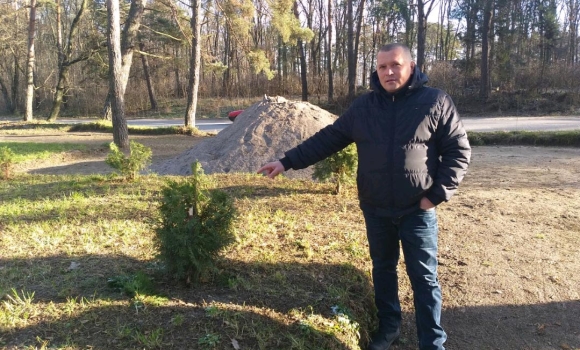 У Хмільнику невідомі вирубали майже два десятки туй: тим, хто допоможе знайти вандалів, обіцяють 5 тис. грн