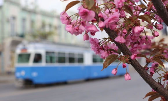 30 квітня у Вінниці вночі прогнозують заморозки, а вдень - до +16°