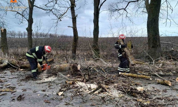 18 лютого на Вінниччині через сильний вітер на дороги попадали дерева