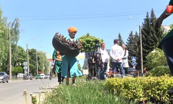 3,5 тис.кущів троянд висадили на проспекті Юності у Вінниці