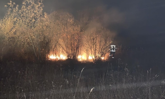 За минулу добу на Вінниччині ліквідували 15 пожеж в екосистемах