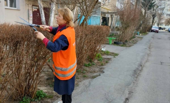 У Вінниці до середини квітня триватиме обрізка гілля 