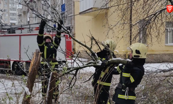 Через негоду і сильний вітер у Вінниці пошкоджені чотири автівки