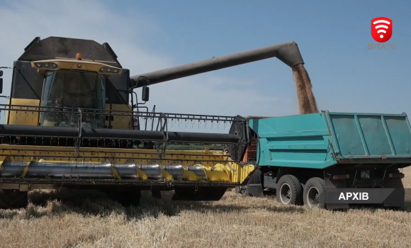 Цьогоріч на Вінниччині зібрали рекордний урожай