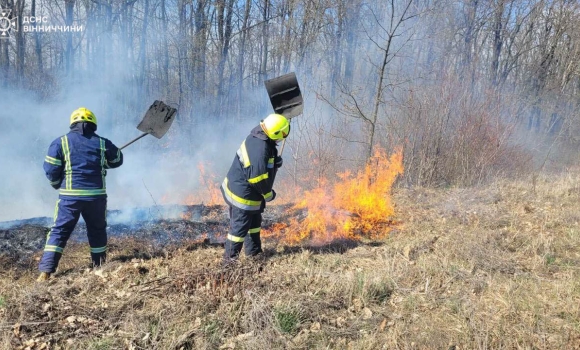 Горіла суха трава - рятувальники Вінниччини загасили 30 пожеж за добу