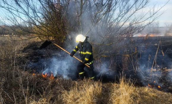 Горіли екосистеми у трьох районах Вінницької області