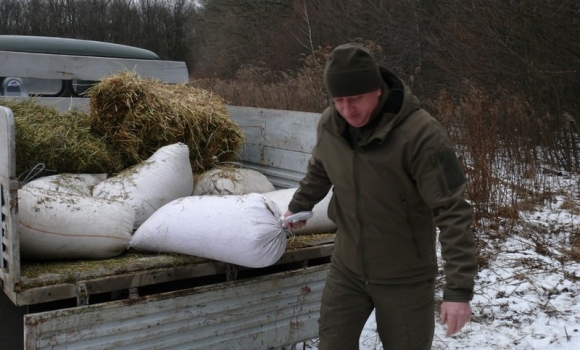 Вінницькі лісівники почали підгодовувати мисливських тварин