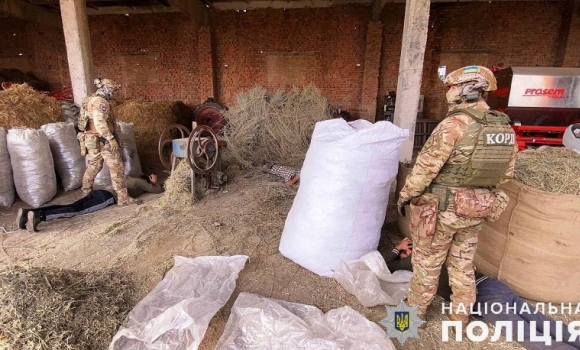 На Вінниччині судитимуть угрупування, яке заробляло на незаконній порубці лісу