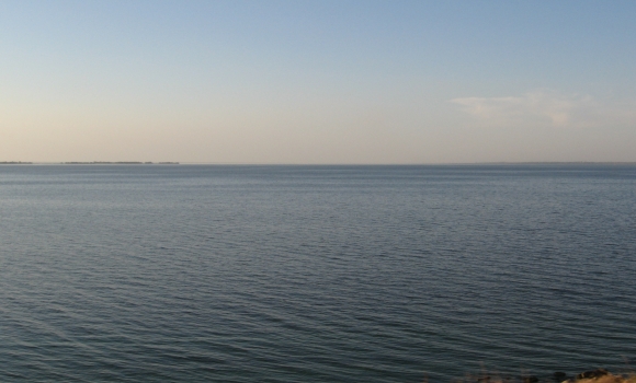 У Ладижинське водосховище в Степашках випустили більше трьох тисяч кілограм риби