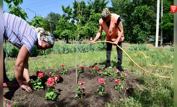 Квіти для переселенців