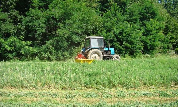 Лісівники Вінниччини готують кормові запаси на зиму для тварин