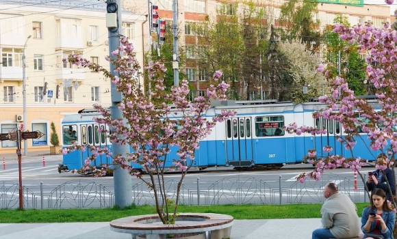 Мер Вінниці Сергій Моргунов розповів про розвиток якісного середовища у місті