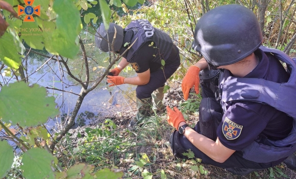 На березі водойми у Вінниці знайшли підривник та п'ять мінометних мін