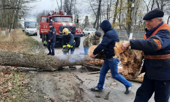 На Вінниччині рятувальники прибрали повалені вітром дерева з автошляхів