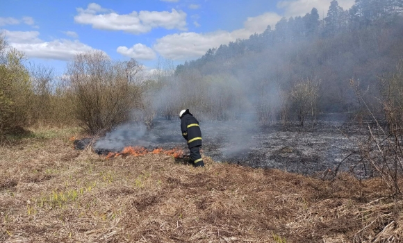 За добу на Вінниччині вигоріло понад три гектари землі через паліїв трави