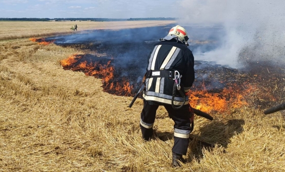 На Вінниччині за добу рятувальники вісім разів гасили пожежі в екосистемах