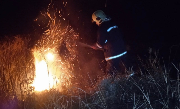 На Вінниччині за добу сталося 30 пожеж - обгоріло понад 16 гектарів землі