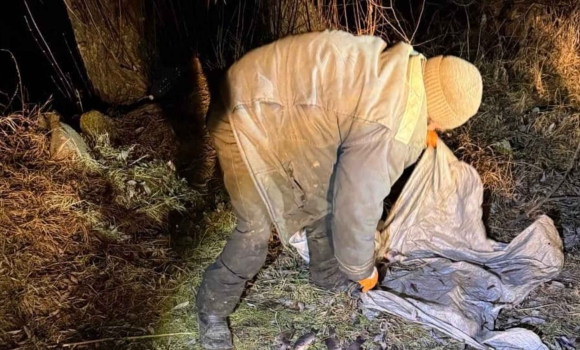 На Вінниччині браконьєр витягнув з Південного Бугу сотню карасів двома сітками