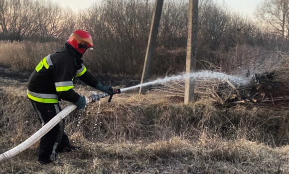 На Вінниччині горять екосистеми – вогонь обпалив понад 6,5 гектарів ґрунту