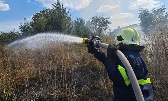 На Вінниччині пожежі спопелили 13 гектарів екосистем