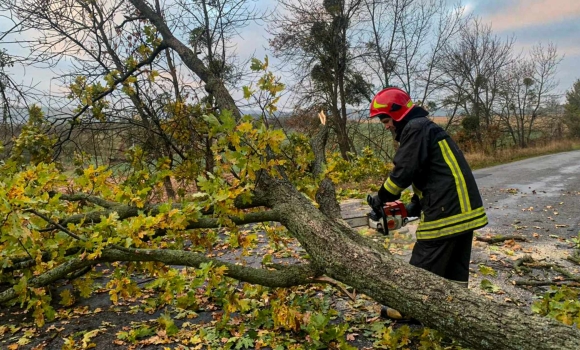 На Вінниччині рятувальники розкряжували дерево, яке впало на автодорогу