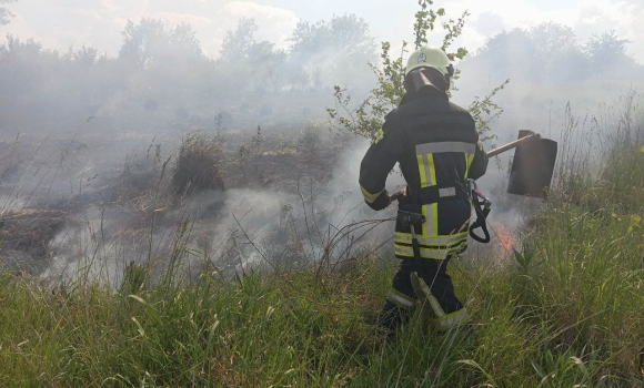 На Вінниччині за добу сталося дев'ять пожеж в екосистемах