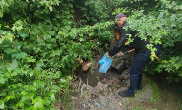 Нейбайдужий вінничанин повідомив про забруднення струмка - воду перевірили екологи