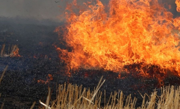 На Вінниччині вогнеборці тричі гасили пожежі в екосистемах