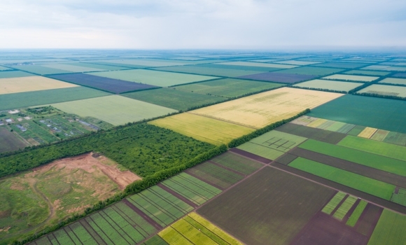 П’ять ОТГ Вінниччини отримали в комунальну власність понад 10 тис.га землі