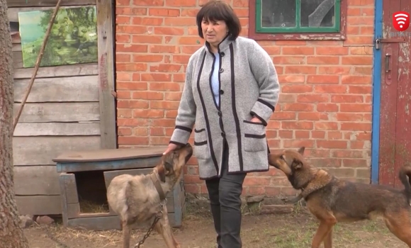 Переселенка з Харківщини вивезла у безпечне місце з пів сотні тварин