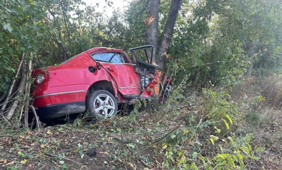 Під Бершаддю Volkswagen в'їхав у дерево - загинули водій і пасажирка