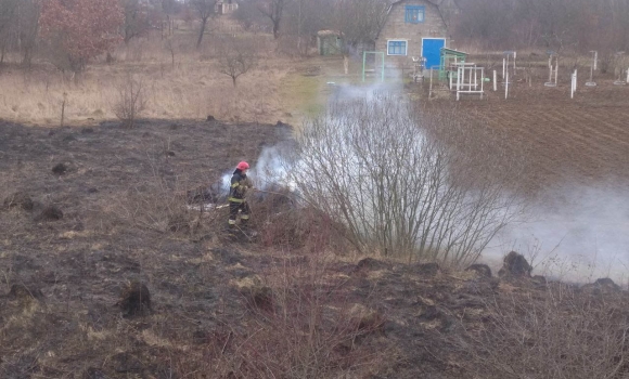 Під час пожеж в екосистемах на Вінниччині згоріло два гектари сухої трави