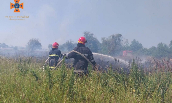 Під Вінницею вигоріло 1,5 гектара сухої рослинності