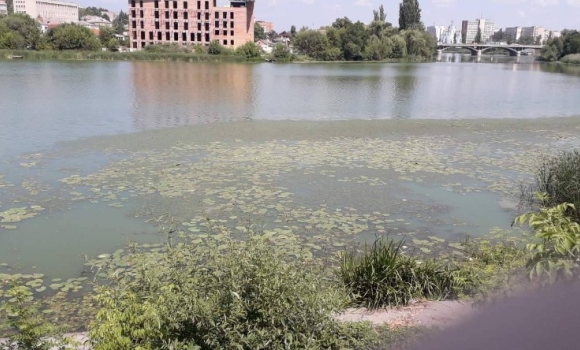 Південний Буг на Старому місті у Вінниці вкрився плямами: що кажуть екологи