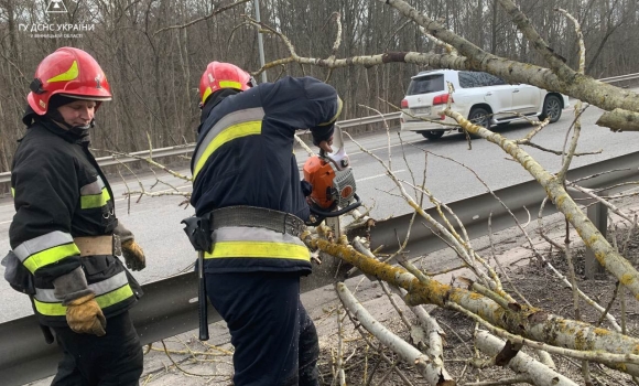 Поблизу Вінниці сильний вітер повалив дерева на дорогу